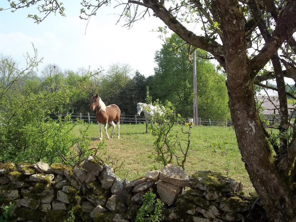 Gite Du Colombier Le Fied Extérieur photo